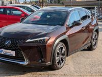 Usata Lexus UX 250h 152 CV (111 kW) 2021 Marrone SUV