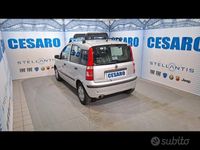 Usata Fiat Panda Dynamic 60 CV (44 kW) 2008 Grigio Berlina