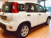 Usata Fiat Panda S 70 CV (51 kW) 2024 Bianco Utilitaria