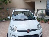 Usata Fiat Panda Lounge 85 CV (62 kW) 2020 Bianco Utilitaria