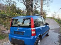 Usata Fiat Panda 4x4 Climbing 69 CV (50 kW) 2006 Utilitaria