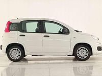 Usata Fiat Panda 69 CV (50 kW) 2025 Bianco gelato Utilitaria