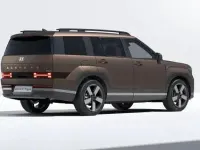 Nuova Hyundai Santa Fe 2025 Earthy brass matt SUV