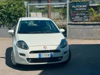 Usata Fiat Punto Lounge 75 CV (55 kW) 2015 Bianco Utilitaria
