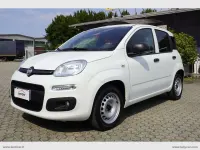 Usata Fiat Panda Pop 69 CV (50 kW) 2022 Bianco Utilitaria