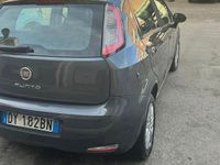 usata Fiat Punto benz/matano