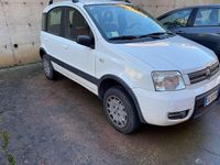 Usata Fiat Panda 4x4 Climbing 60 CV (44 kW) 2005 Bianco Utilitaria