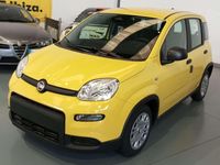 Usata Fiat Panda Red 69 CV (50 kW) 2024 Giallo Utilitaria
