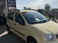 Usata Fiat Panda Dynamic 52 CV (38 kW) 2007 Giallo Utilitaria
