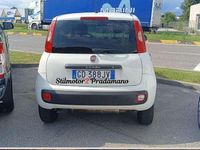 Usata Fiat Panda 4x4 S 86 CV (63 kW) 2020 Bianco Utilitaria