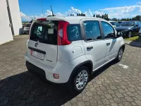 Usata Fiat Panda Cross Cross 69 CV (50 kW) 2023 Bianco Utilitaria