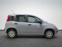 Occasion Fiat Panda Easy 69 PK (50 kW) 2018 Beige Hatchback