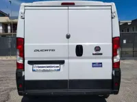 Usata Fiat Ducato 33 120 CV (88 kW) 2020 Bianco Furgone