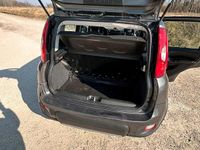 Usata Fiat Panda 4x4 95 CV (69 kW) 2016 Grigio Utilitaria