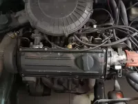 Usata VW Golf I 1980 Verde Utilitaria