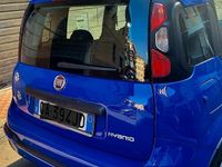 Usata Fiat Panda Cross Cross 2020 Blu Utilitaria