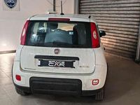 Usata Fiat Panda City Life 69 CV (50 kW) 2021 Bianco Berlina
