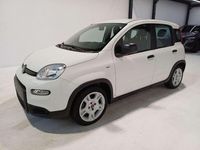 Usata Fiat Panda City Life 69 CV (50 kW) 2024 Bianco Utilitaria