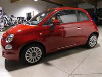 Usata Fiat 500 Lounge 69 CV (50 kW) 2021 Rosso Utilitaria