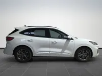 Usata Ford Kuga ST-Line X 120 CV (88 kW) 2023 Bianco SUV