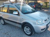 Begagnad Fiat Panda Trekking 69 HK (50 kW) 2011 Grå Halvkombi