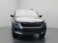 usata Skoda Kodiaq 2.0 TDI EVO SCR DSG 7 posti Sportline