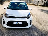 Usata Kia Picanto Urban 67 CV (49 kW) 2024 Bianco Utilitaria