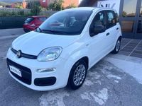 Usata Fiat Panda S 69 CV (50 kW) 2021 Bianco Utilitaria