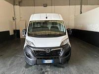 Usata Opel Movano S 120 CV (88 kW) 2022 Bianco Furgone