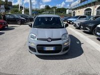 Usata Fiat Panda Easy 70 CV (51 kW) 2020 Grigio Utilitaria
