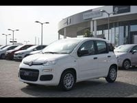 Usata Fiat Panda 2025 Bianco Utilitaria