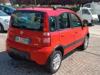 Usado Fiat Panda 4x4 69 CV (50 kW) 2006 Rojo Utilitario