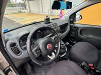 Usata Fiat Panda Easy 95 CV (69 kW) 2016 Bianco Utilitaria