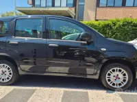 Usata Fiat Panda Easy 69 CV (50 kW) 2019 Nero Utilitaria