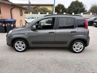 Usata Fiat Panda City Life 69 CV (50 kW) 2022 Bianco Berlina