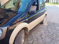 Usata Fiat Panda 4x4 Cross 69 CV (50 kW) 2006 Verde Utilitaria