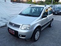 Usata Fiat Panda 4x4 60 CV (44 kW) 2009 Argento Utilitaria