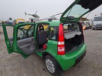 Usata Fiat Panda 4x4 60 CV (44 kW) 2006 Verde Utilitaria