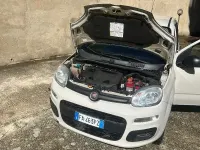 Usata Fiat Panda S 70 CV (51 kW) 2015 Utilitaria