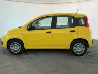 Usata Fiat Panda 69 CV (50 kW) 2025 Giallo Utilitaria