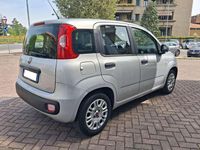 Usata Fiat Panda Easy 69 CV (50 kW) 2019 Argento Utilitaria