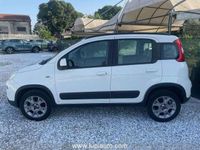 usata Fiat Panda 4x4 1.3 mjt 16v 75cv