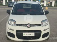 Usata Fiat Panda Pop 69 CV (50 kW) 2019 Bianco Utilitaria