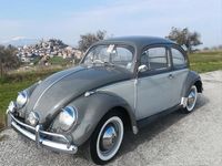 Usata VW Beetle 1960 Utilitaria