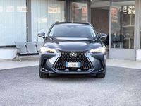 Usata Lexus NX300h 190 CV (139 kW) 2022 Grigio SUV