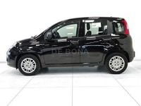 Nouvelle Fiat Panda Icon 70 ch (51 kW) 2026 Noir Citadine