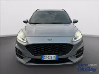 Usata Ford Kuga ST-Line X 225 CV (165 kW) 2023 Grigio SUV