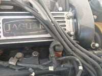 Usata Jaguar XJ6 200 CV (147 kW) 1982 Bianco Berlina