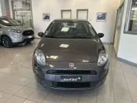 Usata Fiat Punto Lounge 69 CV (50 kW) 2013 Grigio Utilitaria