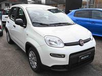 Nuova Fiat Panda S 69 CV (50 kW) 2025 Bianco Utilitaria